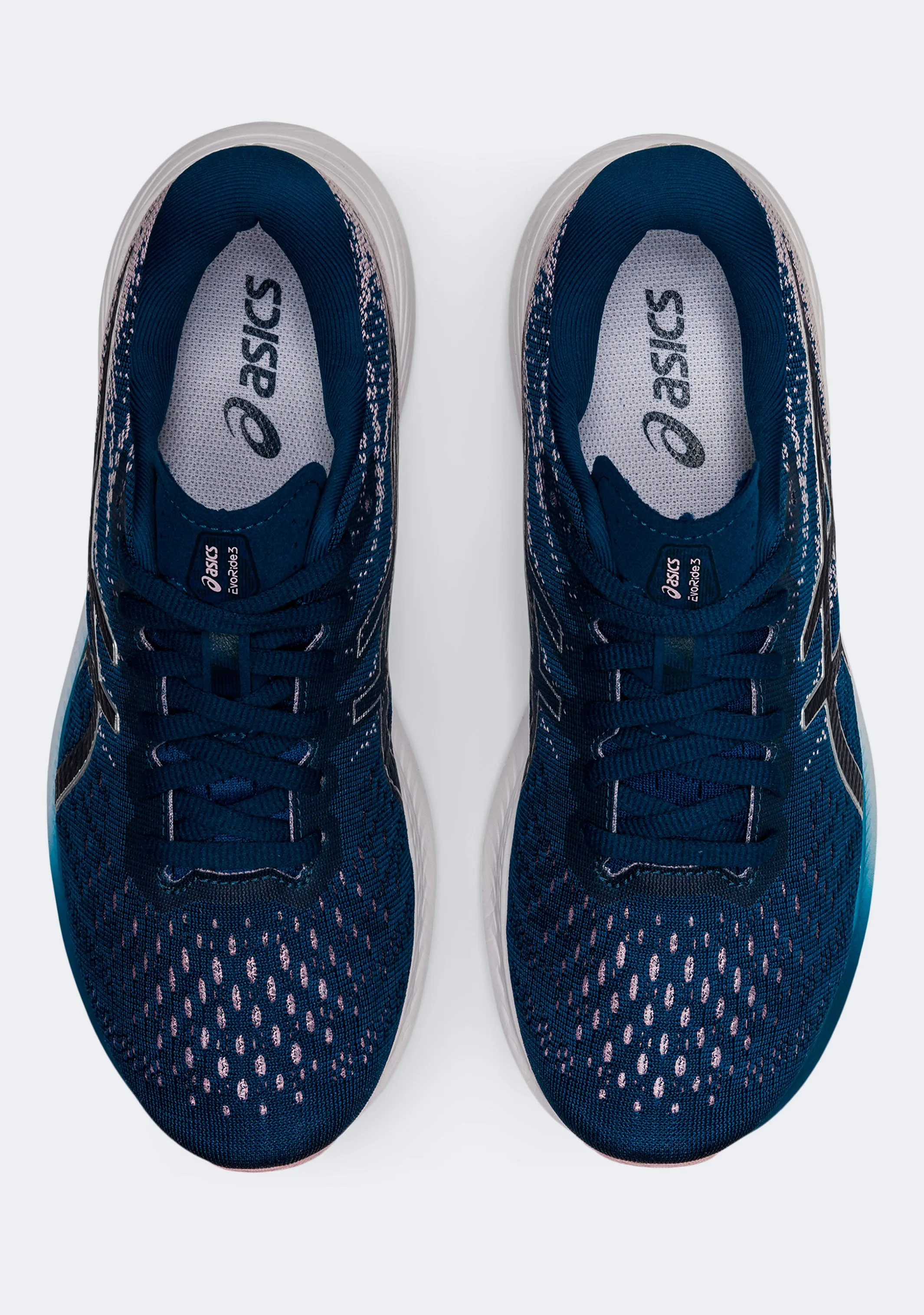 Asics Damen EvoRide 3