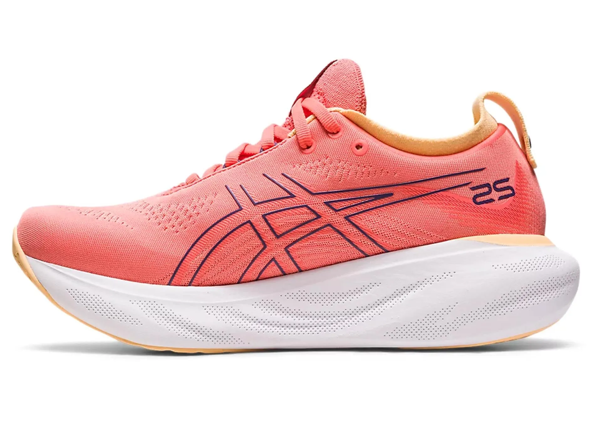 Asics Damen Gel Nimbus 25 <br> 1012B356 700