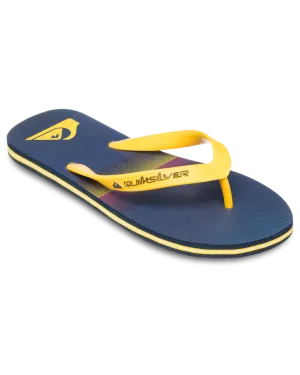 Molokai Stripe 25 Flip Flops in Estate Blue Connect