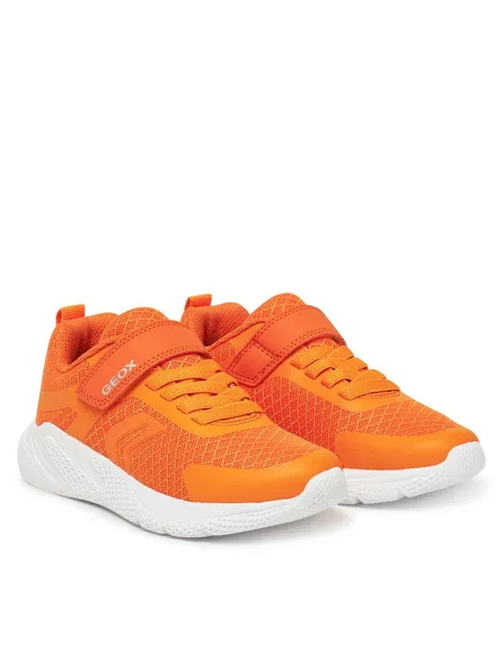Schuhe Geox Kinder Sprintye