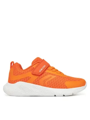 Schuhe Geox Kinder Sprintye