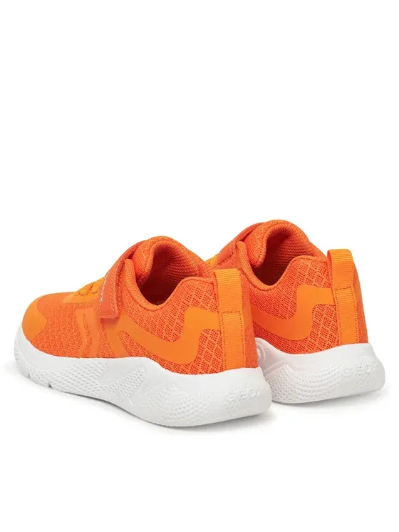 Schuhe Geox Kinder Sprintye