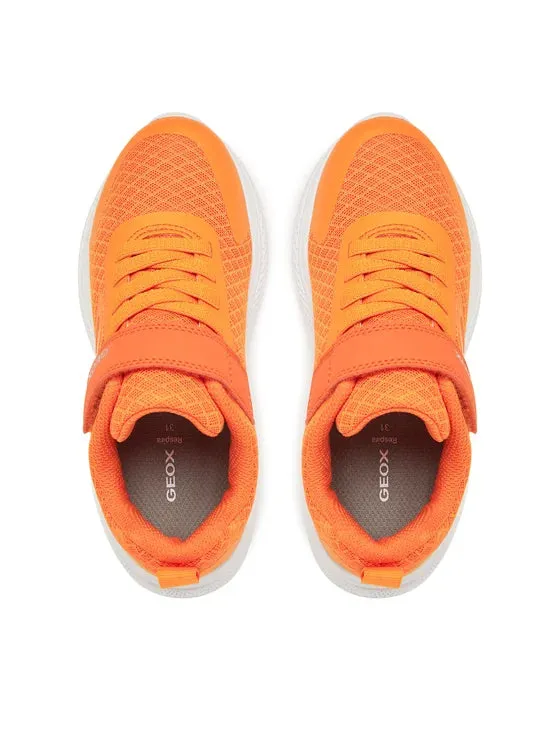 Schuhe Geox Kinder Sprintye