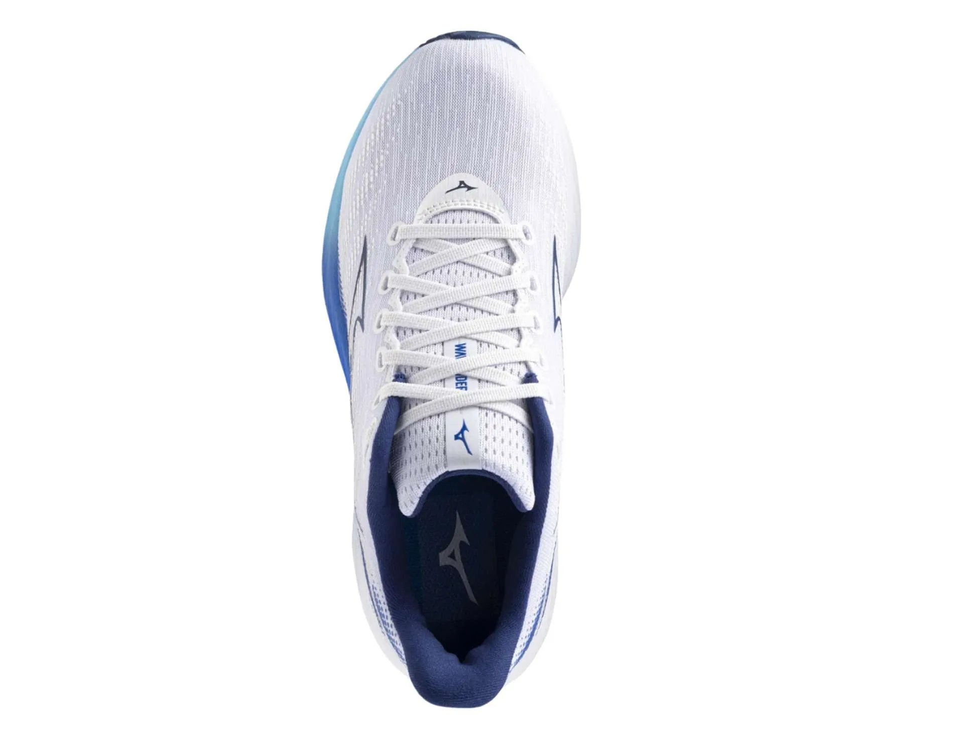 Schuhe Mizuno Mizuno Wave Rider 28 Herren