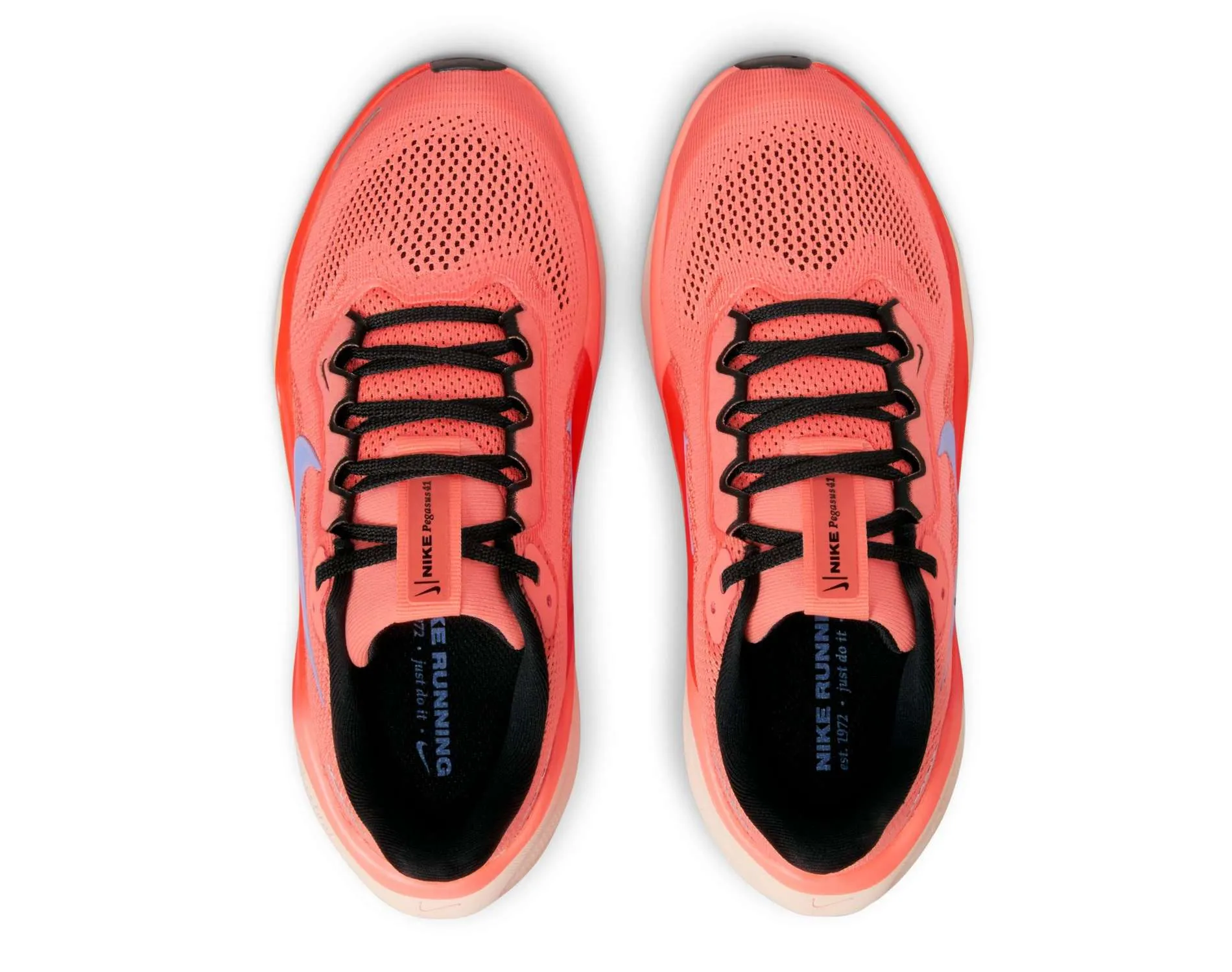 Schuhe Nike Nike Air Zoom Pegasus 41 Kinder
