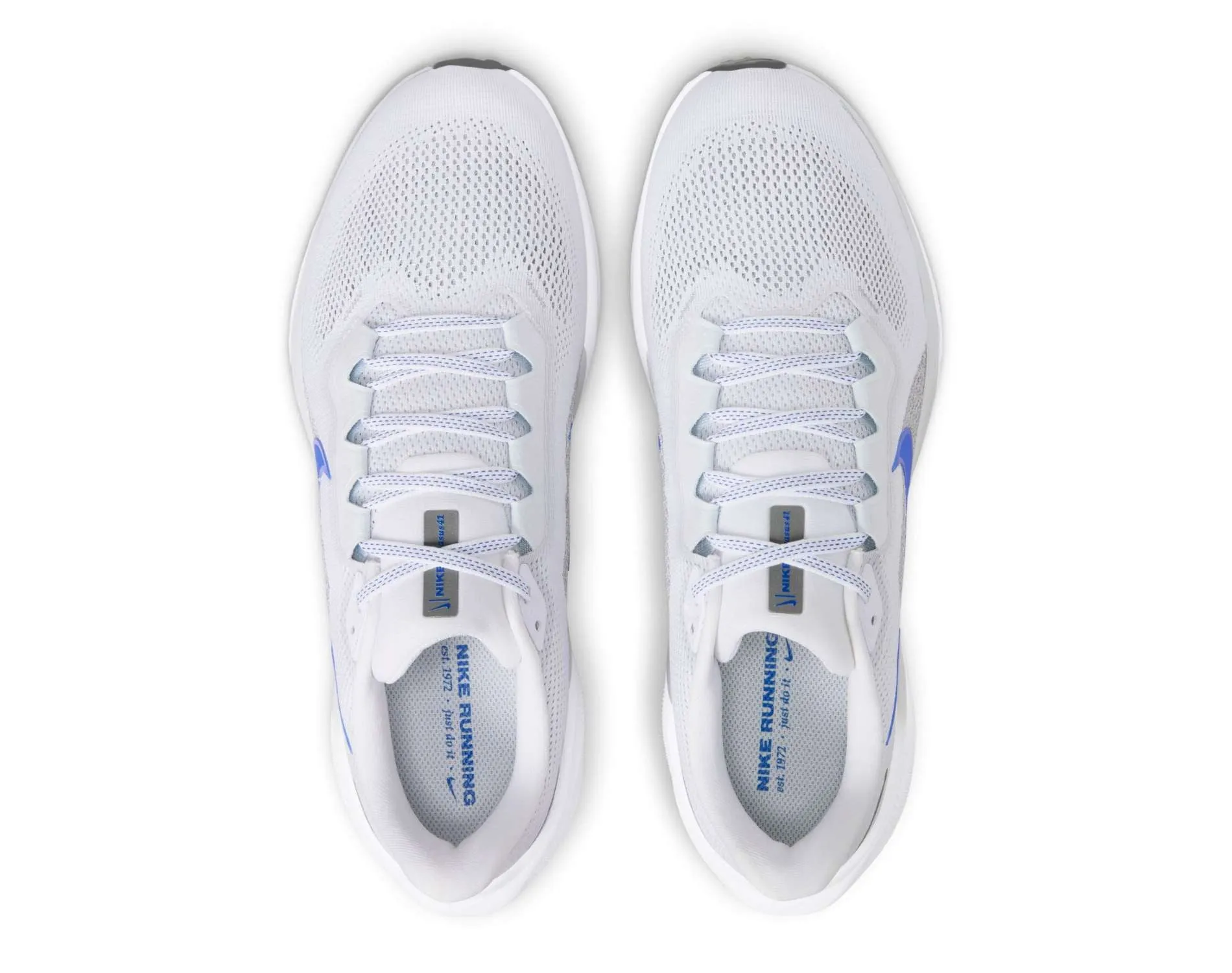 Schuhe Nike Nike Air Zoom Pegasus 41 Herren