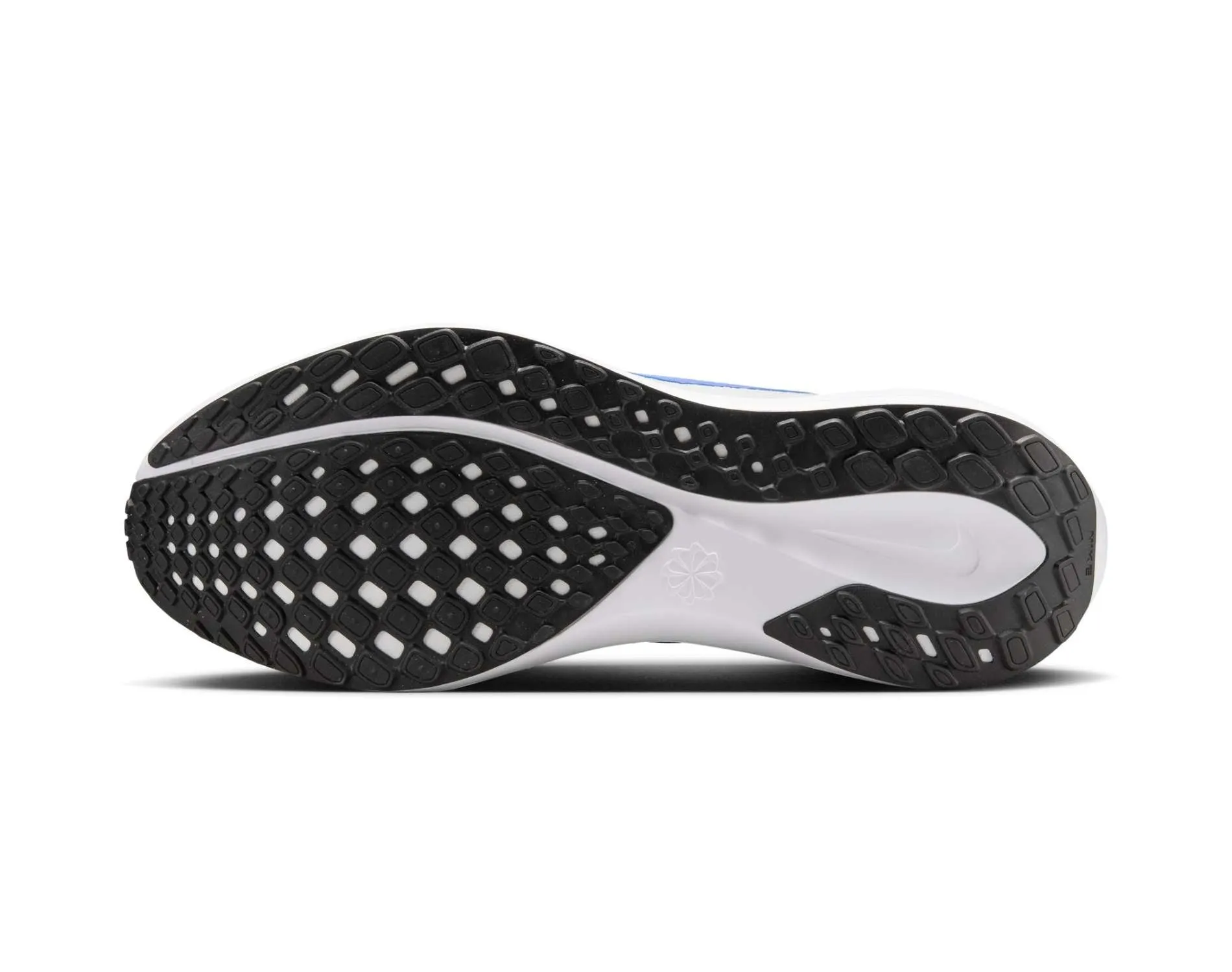 Schuhe Nike Nike Air Zoom Pegasus 41 Herren